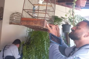 MOBILIZAÇÃO CONTRA A DENGUE EM MOCOCA