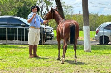 XV EXPOSIÇÃO MORFOLÓGICA DA RAÇA CRIOULA