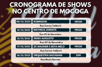 PREFEITURA REALIZARÁ SHOWS NO NATAL DA VIDA