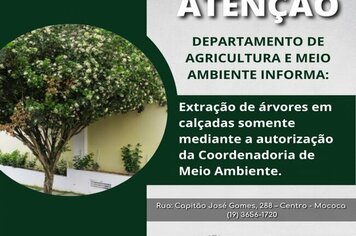 Atenção à podas drásticas e à extração sem autorização !