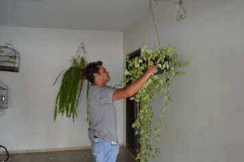 Prefeitura fecha o cerco contra a Dengue