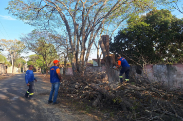 DEFESA CIVIL DE MOCOCA REALIZA EXTRAÇÃO DE ÁRVORE QUE OFERECIA RISCOS NO BAIRRO JARDIM LAVÍNIA