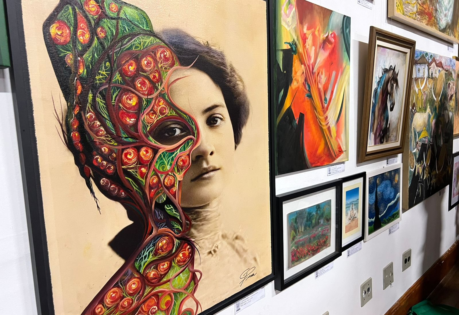 VISITE A EXPOSIÇÃO DO 30º SALÃO DE ARTES PLÁSTICAS DE MOCOCA!