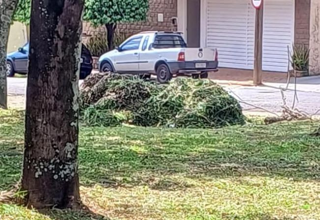 EQUIPE DA LIMPEZA PÚBLICA TRABALHA A TODO VAPOR