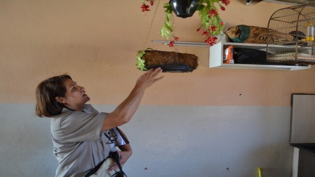 Departamento de Saúde intensifica ações de combate à Dengue com vistorias em casas