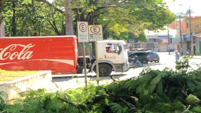 Segundo diretor do Departamento Timé, a poda das árvores nas avenidas, praças e bairros da cidade é importante para proporcionar a passagem dos veículos de grande porte, além dos pedestres. A limpeza ainda proporciona uma claridade maior durante a noite, 