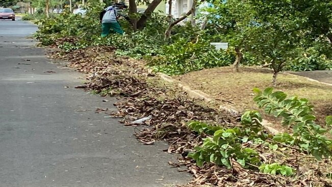 PREFEITURA FAZ MANUTENÇÃO NA AVENIDA DO FÓRUM >>