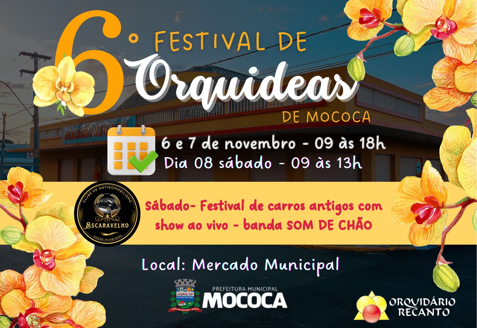  6° FESTIVAL DE ORQUÍDEAS EM MOCOCA!