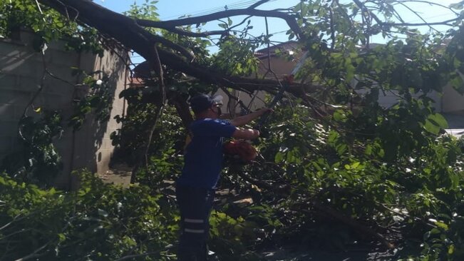 DEFESA CIVIL MUNICIPAL AGE RÁPIDO E RETIRA GALHOS DE ÁRVORES NA CIDADE APÓS TEMPESTADE DE SEXTA.