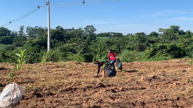PREFEITURA DE MOCOCA REALIZA PLANTIO DE 1200 MUDAS DE ÁRVORES EM SÃO BENEDITO DAS AREIAS.
