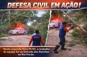 DEFESA CIVIL EM AÇÃO