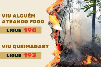 QUEIMADA É CRIME!
