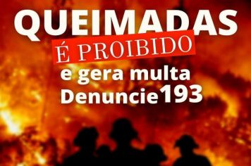 QUEIMADA É CRIME