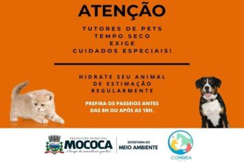 Alerta aos Tutores de Pets: Cuidados cruciais durante a Baixa Umidade!