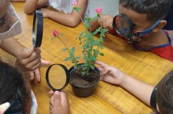 PREFEITURA VAI IMPLANTAR PROJETO “ATELIÊ” NAS ESCOLAS DA REDE MUNICIPAL DE ENSINO