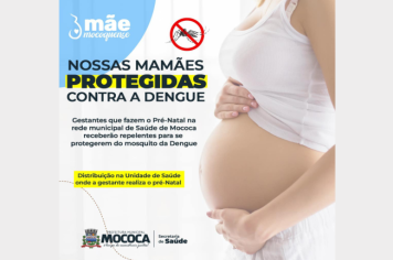 MÃE MOCOQUENSE: NOSSAS GESTANTES MAIS PROTEGIDAS CONTRA A DENGUE 