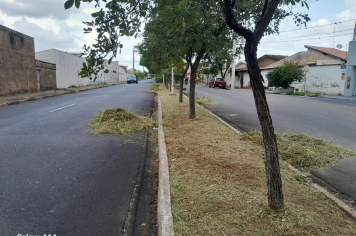 LIMPEZA GERAL EM VÁRIOS PONTOS DE MOCOCA