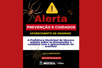 ALERTA E ORIENTAÇÕES SOBRE ARANHAS 