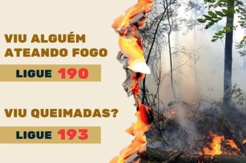 QUEIMADA É CRIME!