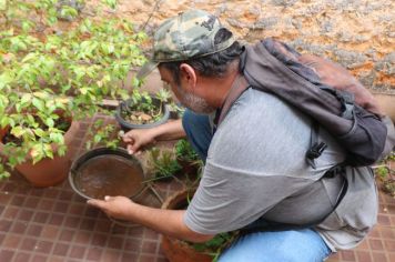 EQUIPES DE ENDEMIAS PELAS RUAS DE MOCOCA