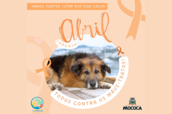 ABRIL LARANJA