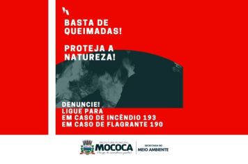 Promover queimadas é um crime ambiental: proteja a natureza, denuncie!
