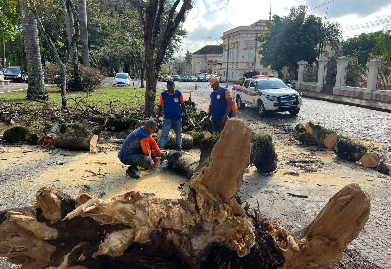ÁRVORE CAI NA PRAÇA DA MATRIZ E DEFESA CIVIL AGE RÁPIDO!
