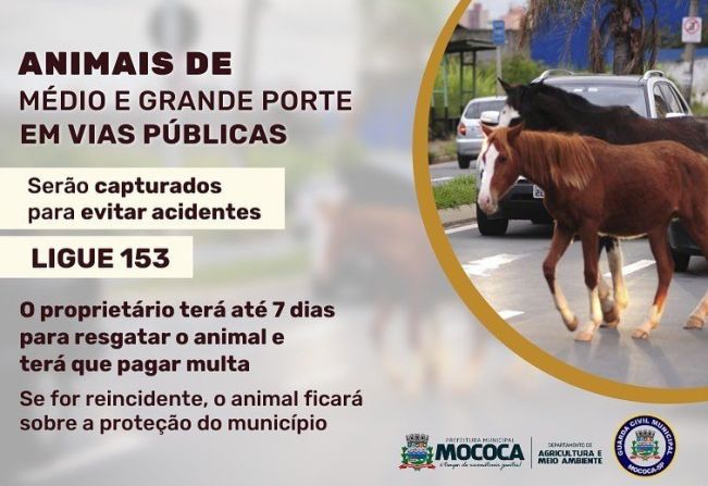 SEU ANIMAL FOI CAPTURADO PELA PREFEITURA MUNICIPAL DE MOCOCA? VEJA O QUE FAZER PARA RECUPERÁ-LO!