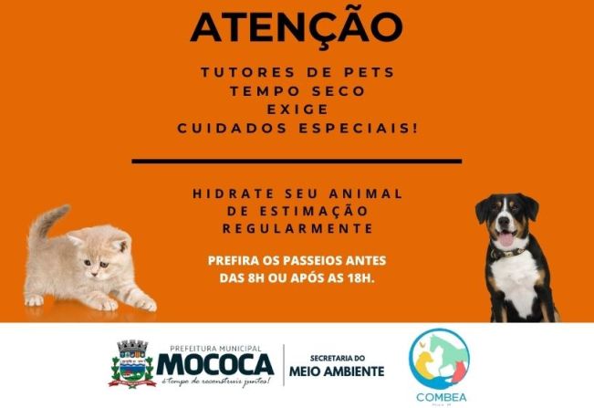 Alerta aos Tutores de Pets: Cuidados cruciais durante a Baixa Umidade!