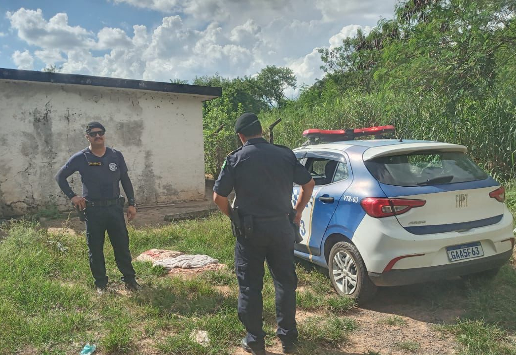 GCM EM AÇÃO 