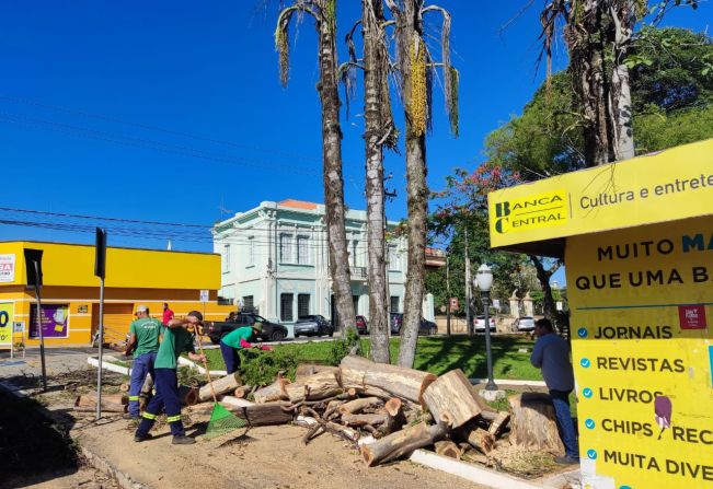 DEFESA CIVIL DE MOCOCA REALIZA RETIRADA DE ÁRVORE QUE OFERECIA RISCOS À POPULAÇÃO