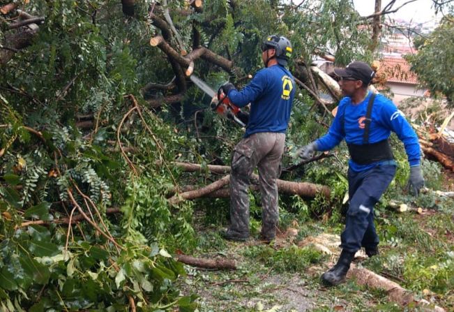 DEFESA CIVIL TRABALHA NA RETIRADA DE ÁRVORES DAS RUAS APÓS FORTE CHUVA NESTA MADRUGADA