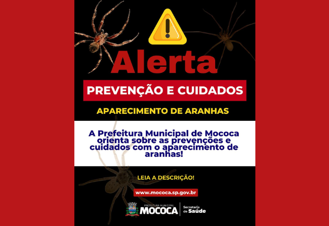 ALERTA E ORIENTAÇÕES SOBRE ARANHAS 