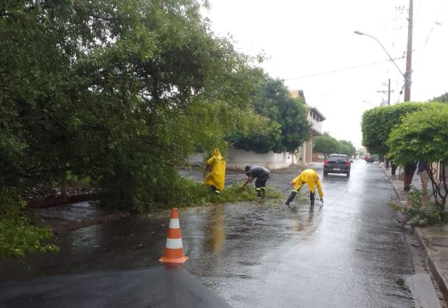  DEFESA CIVIL DE MOCOCA REALIZA SERVIÇOS NA COHAB I E VILA QUINTINO