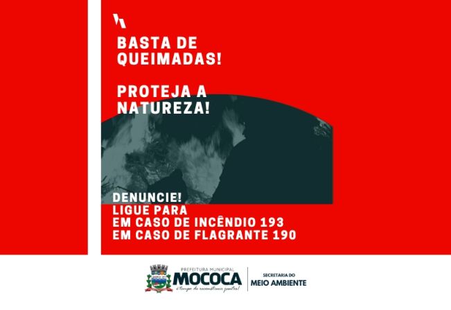 Promover queimadas é um crime ambiental: proteja a natureza, denuncie!